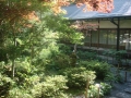 Koyasan